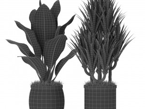 Plants collection 384 3D Model