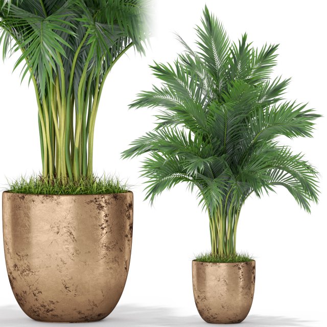 植物收藏 385 3D 模型 .c4d .max .obj .3ds .fbx .stl .blend 