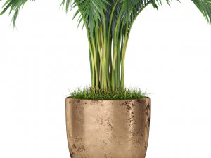 Plants collection 385 3D Model