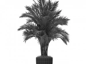 Plants collection 385 3D Model