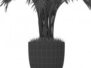 Plants collection 385 3D Model