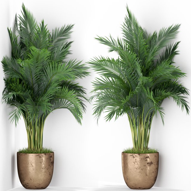 Plants collection 386 3D Model .c4d .max .obj .3ds .fbx .stl .blend 