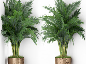 Plants collection 386 3D 模型