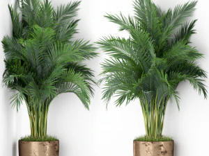 Collezione piante 386 Modello 3D