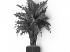 Plants collection 386 3D Model