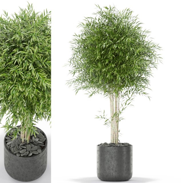 Plants collection 387 3D 模型 .c4d .max .obj .3ds .fbx .stl .blend 