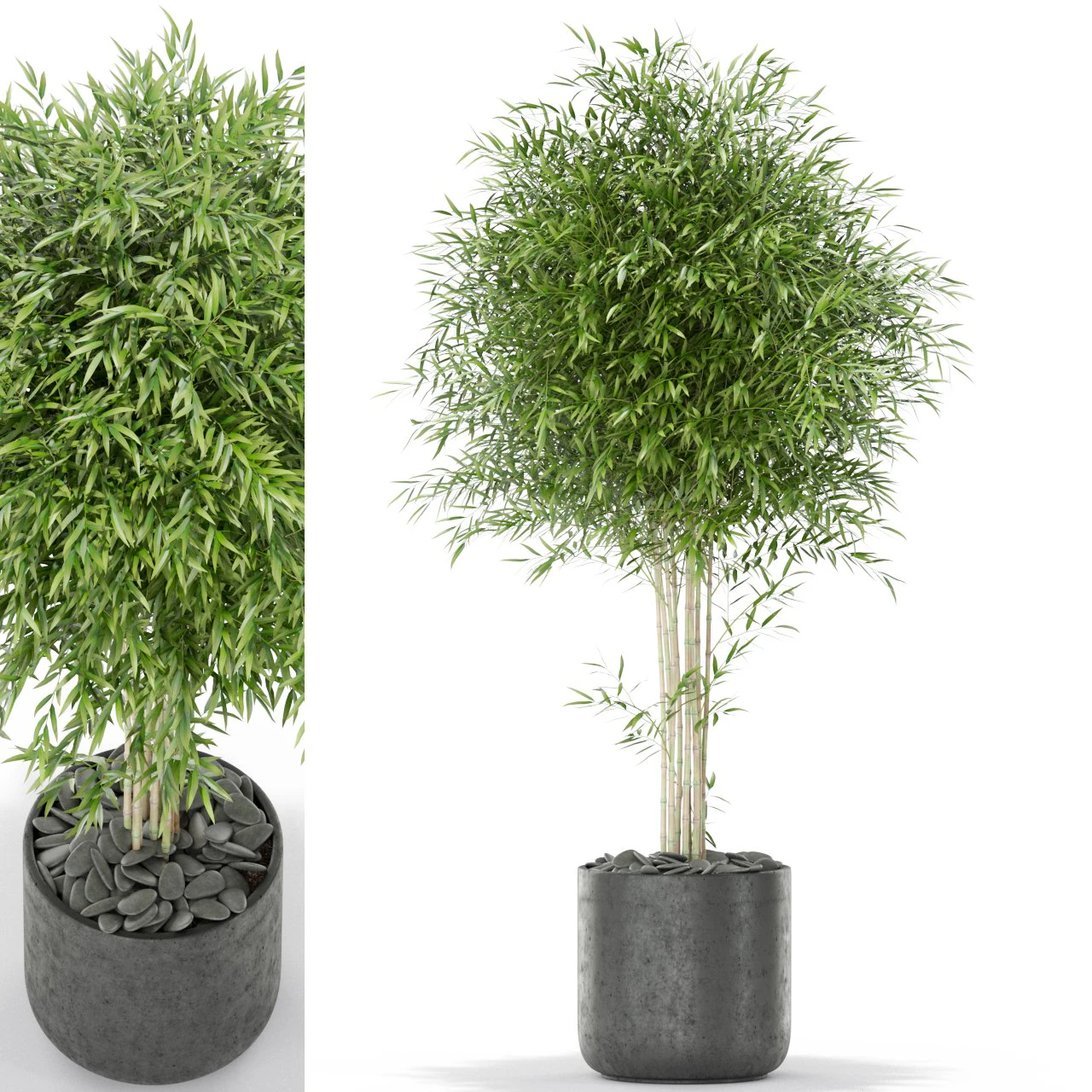 Plants collection 387 3D Model .c4d .max .obj .3ds .fbx .stl .blend 