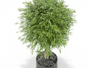 Plants collection 387 3D Model