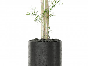 Plants collection 387 3D 模型