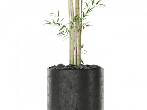 Plants collection 387 3D Model