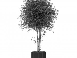 Plants collection 387 3D 模型