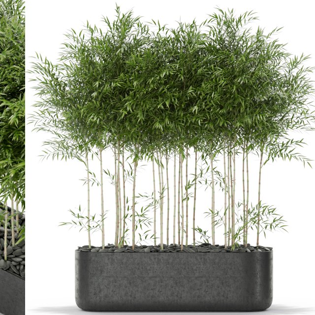 Plants collection 388 Modelo 3D .c4d .max .obj .3ds .fbx .stl .blend