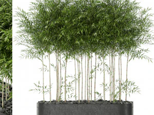 Plants collection 388 3D Model