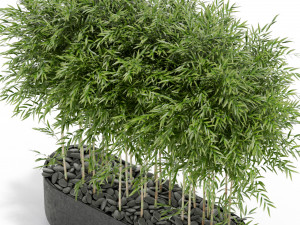 Plants collection 388 Modelo 3D