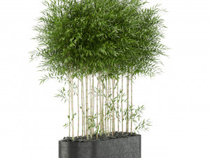 Plants collection 388 Modelo 3D