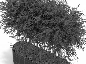 Plants collection 388 3D Model