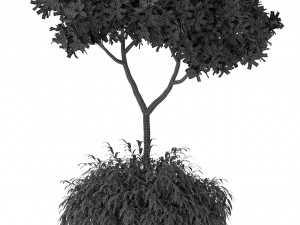 Plants collection 389 3D 模型