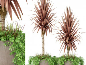 Коллекция растений 390 3D Модель