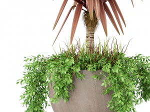Plants collection 390 3D Model