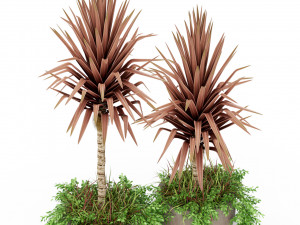 Plants collection 390 3D 模型