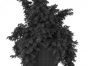 Plants collection 391 3D Model