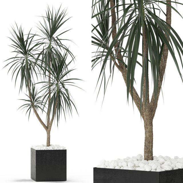 Plants collection 392 3D 模型 .c4d .max .obj .3ds .fbx .stl .blend 