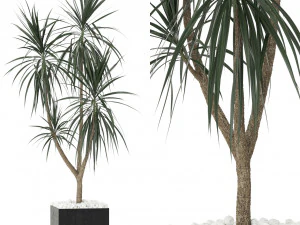 Коллекция растений 392 3D Модель