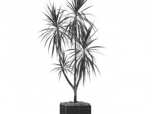 Plants collection 392 3D 模型