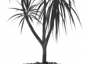 Plants collection 392 3D 模型