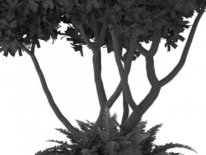 Plants collection 394 3D Model