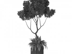 Plants collection 395 3D Model