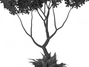 Plants collection 395 3D Model