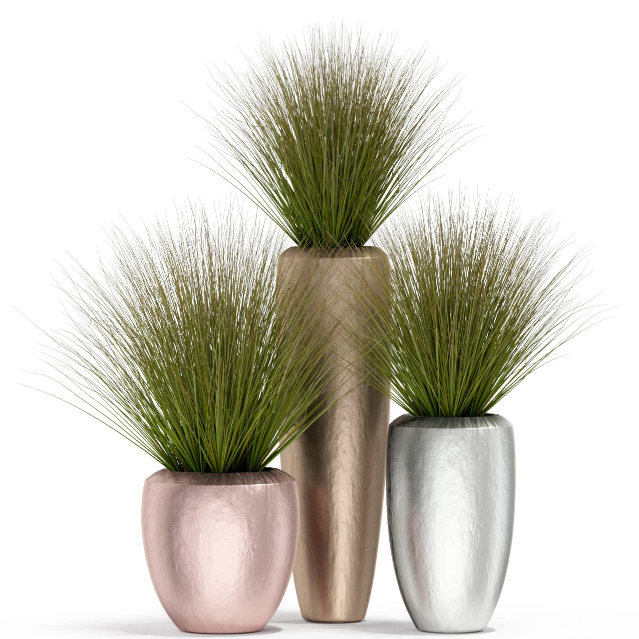 Plants collection 396 3D Model .c4d .max .obj .3ds .fbx .stl .blend 