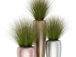 Коллекция растений 396 3D Модель