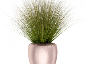Plants collection 396 3D Model