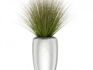 Plants collection 396 3D Model