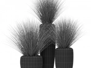 Plants collection 396 3D Model