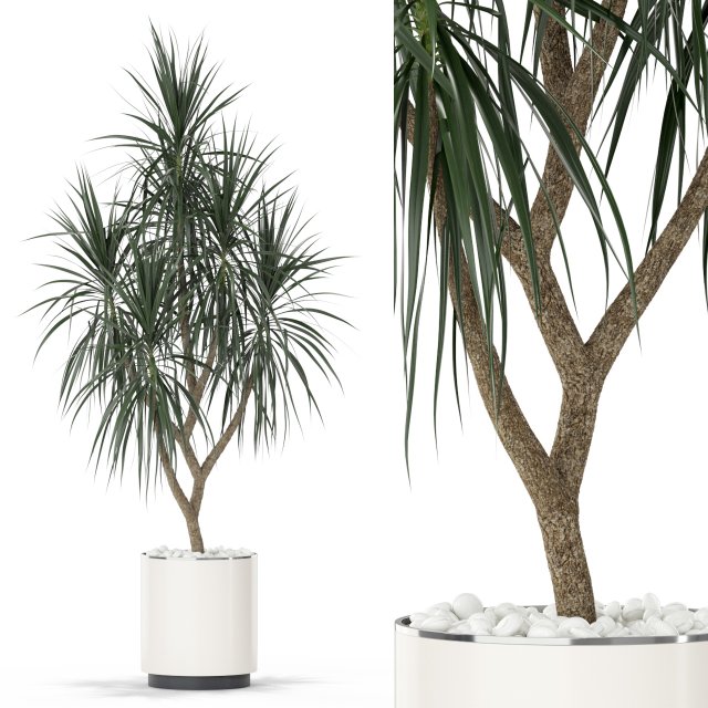 Plants collection 397 3D Модель .c4d .max .obj .3ds .fbx .stl .blend 