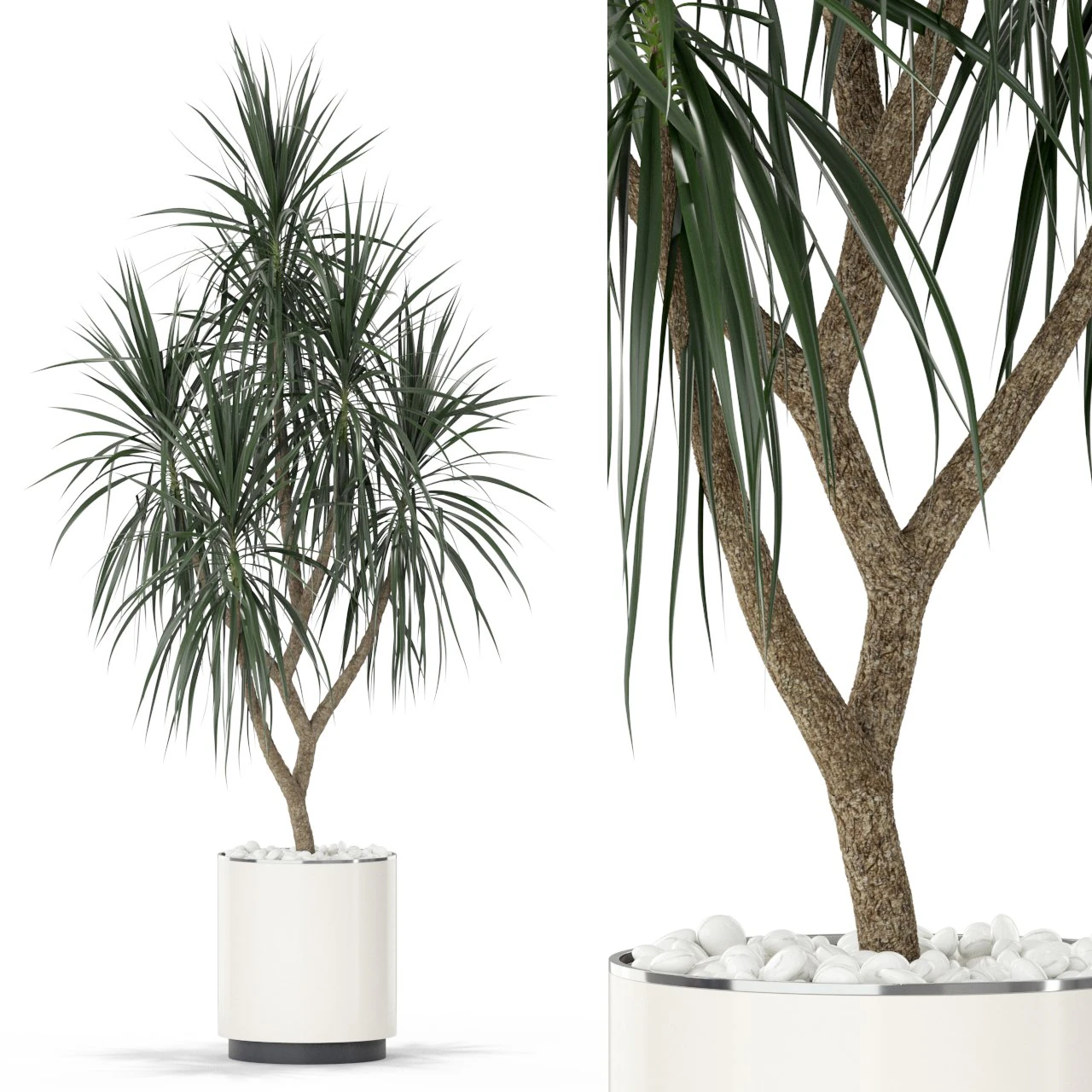 Plants collection 397 3D Model .c4d .max .obj .3ds .fbx .stl .blend
