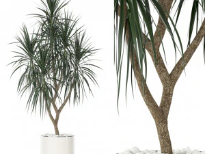 Коллекция растений 397 3D Модель