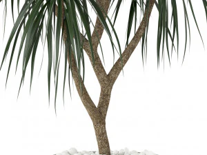 Plants collection 397 3D Model