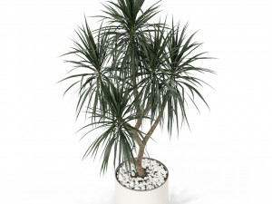 Plants collection 397 3D Модель