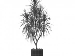 Plants collection 397 3D Model