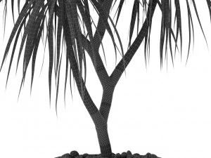 Plants collection 397 3D Model