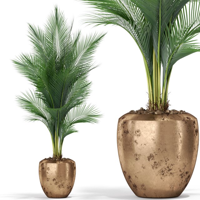 Plants collection 398 3D 模型 .c4d .max .obj .3ds .fbx .stl .blend 