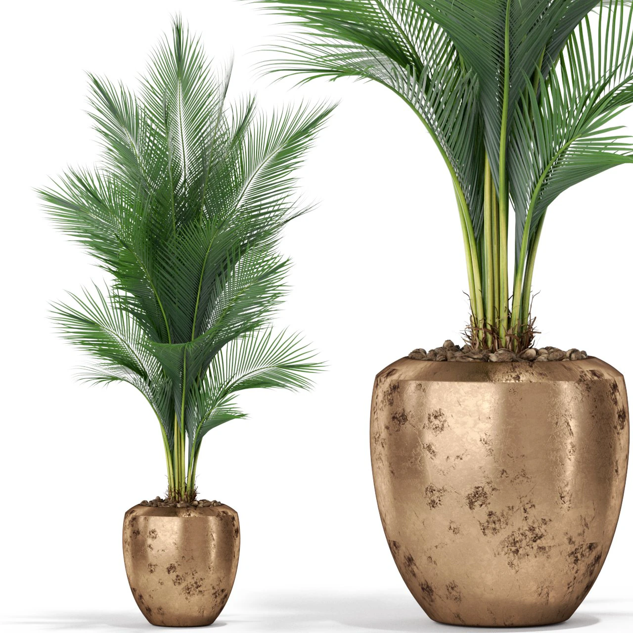 Plants collection 398 3D Model .c4d .max .obj .3ds .fbx .stl .blend 