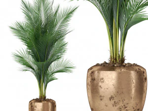 Коллекция растений 398 3D Модель