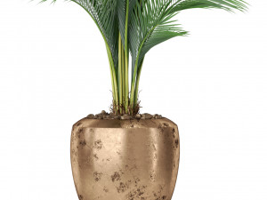Plants collection 398 3D 模型