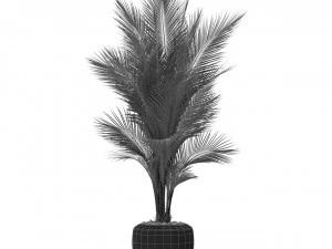 Plants collection 398 3D Model