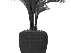 Plants collection 398 3D Model